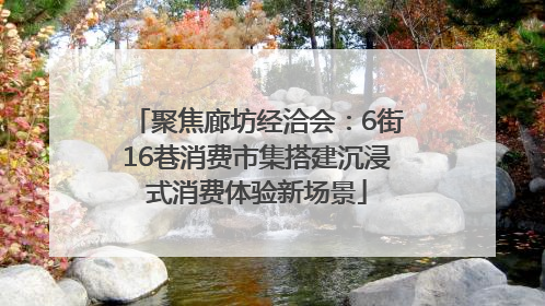 聚焦廊坊经洽会：6街16巷消费市集搭建沉浸式消费体验新场景